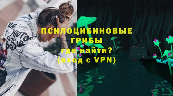ГАЛЛЮЦИНОГЕННЫЕ ГРИБЫ Абинск