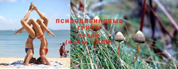 прущая мука Абаза