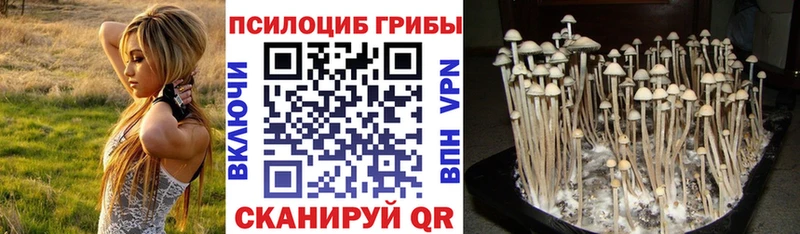 Псилоцибиновые грибы GOLDEN TEACHER  OMG зеркало  Владикавказ 