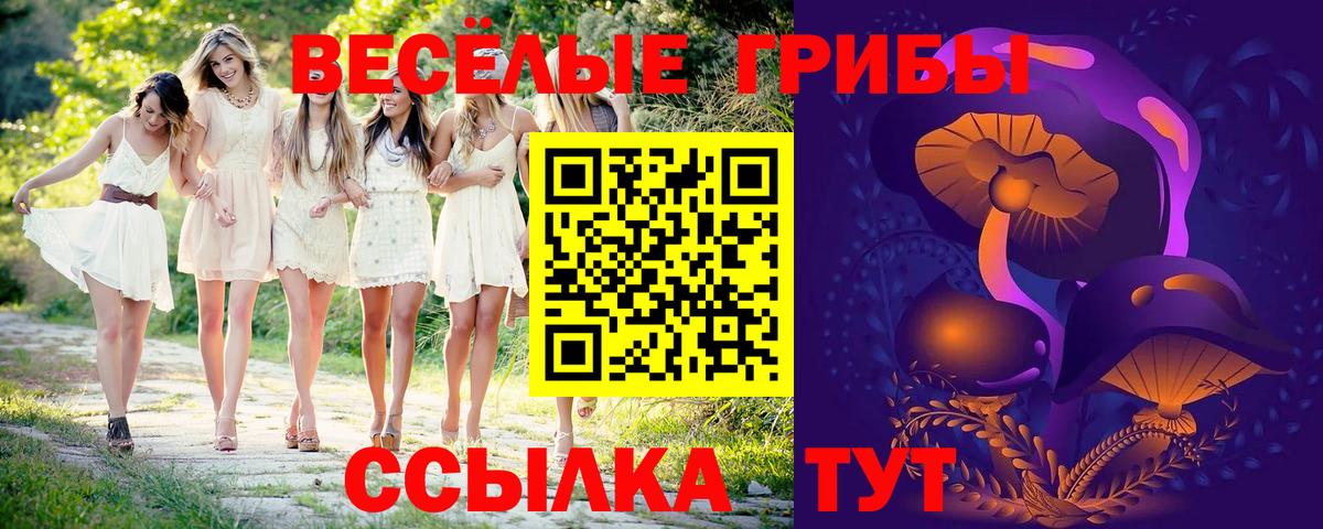 Галлюциногенные грибы мицелий  Вход с VPN  Владикавказ 