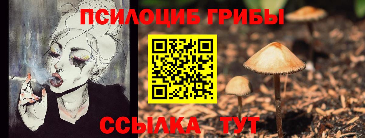 Псилоцибиновые грибы Cubensis Владикавказ