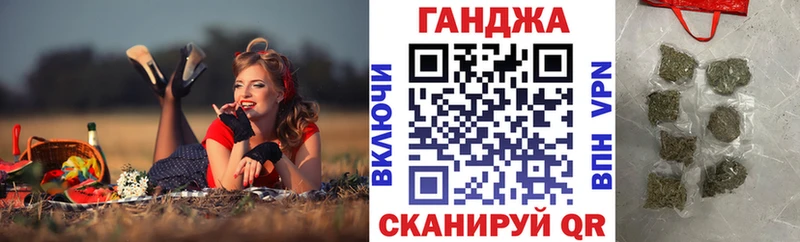 где купить наркоту  Владикавказ  Канабис сатива 